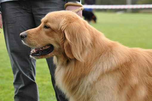 athos